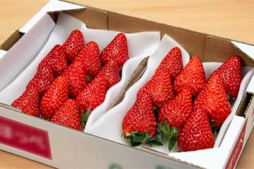 【新宿・池袋発】「姿本タラバガニ付ミステリー」さらにLサイズいちご1箱(2パック)のお土産付!松阪牛100%ハンバーグランチなど 日帰り3食付!2